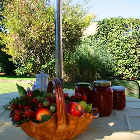 Apartment Ca' Di Maestro Cortona